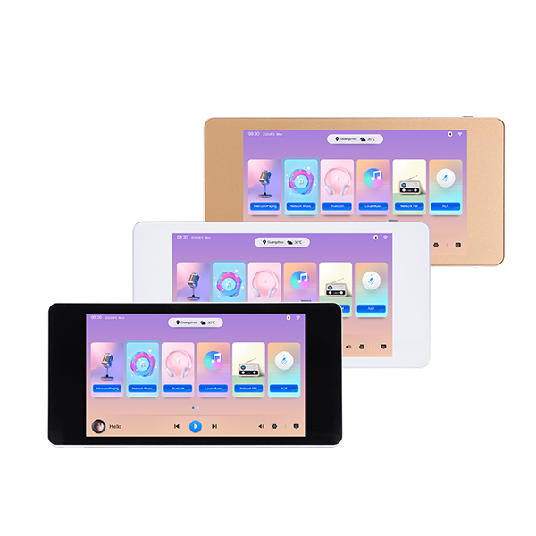 Lecteur de musique réseau avec amplificateur 2x20W SD/ BT/AirPlay