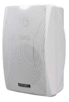 2x10W POE Wall Mount Speaker-sample